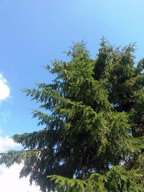 20160705_121234.jpg