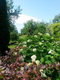 20160705_110115.jpg