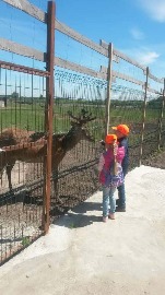 20170602_112023.jpg