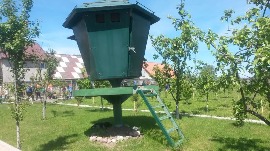 20170602_112222.jpg