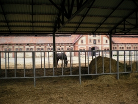 SANY0002.JPG