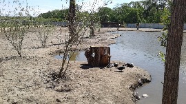 20170602_110745.jpg