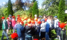 20160705_105629.jpg