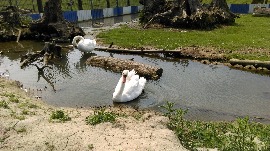IMAG3157.jpg