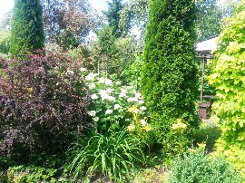 20160705_105903.jpg