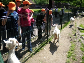 SANY0094.JPG