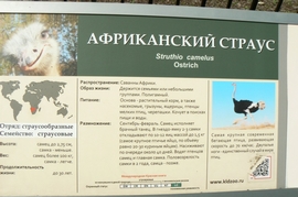 P1410767.JPG