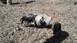 20170602_112616.jpg