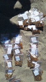 20170606_111020.jpg