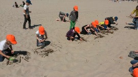 20170606_113739.jpg