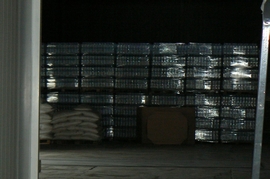 P1420147.JPG
