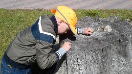 20170602_124309.jpg