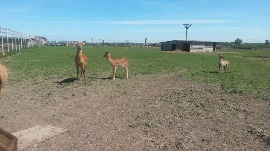 20170602_110742.jpg