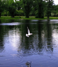 SANY0273.JPG