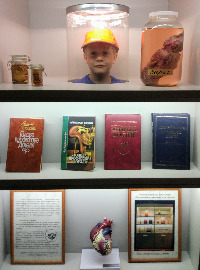IMG_20170704_110925.jpg