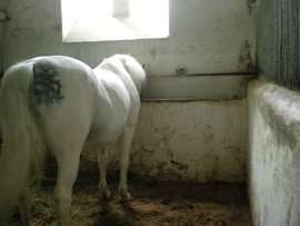 SANY0021.JPG