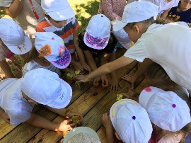 Вунш 073.jpg