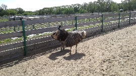20170602_113729.jpg