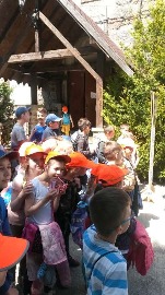 20170606_125444.jpg
