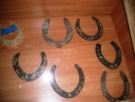 SANY0059.JPG