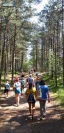 20190605_124306 (Средний).jpg