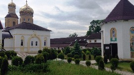 IMG_8231.jpg