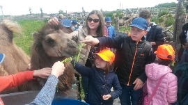 20170602_114112.jpg
