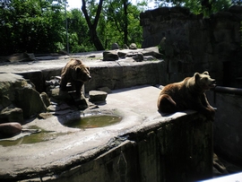 SANY0099.JPG