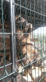 20170602_105238.jpg