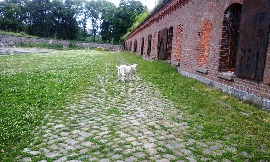 20160617_124456.jpg