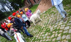 20160617_124023.jpg