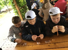 IMG_6542.JPG