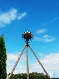 20160705_111517.jpg