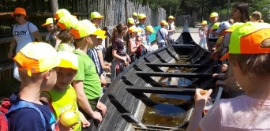 20190605_115120 (Средний).jpg