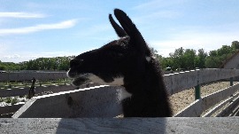 20170602_113718.jpg