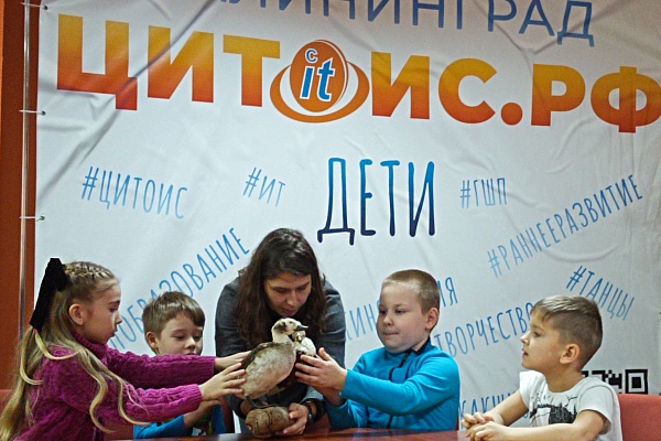 Птицы Балтики у нас в гостях!