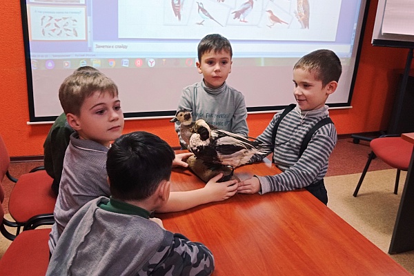 Птицы Балтики у нас в гостях!